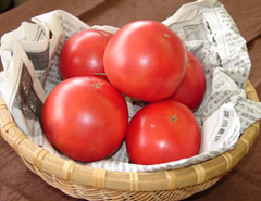 ふるさと旬の野菜料理　トマト