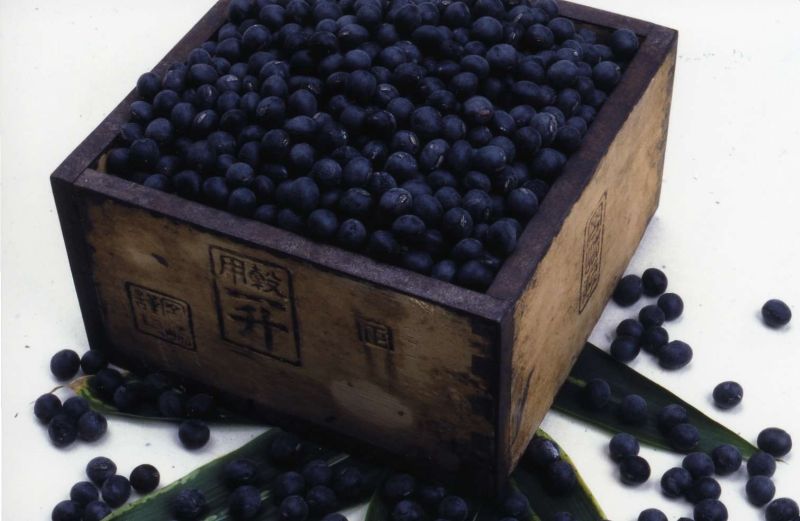 特産料理レシピ集　丹波黒大豆